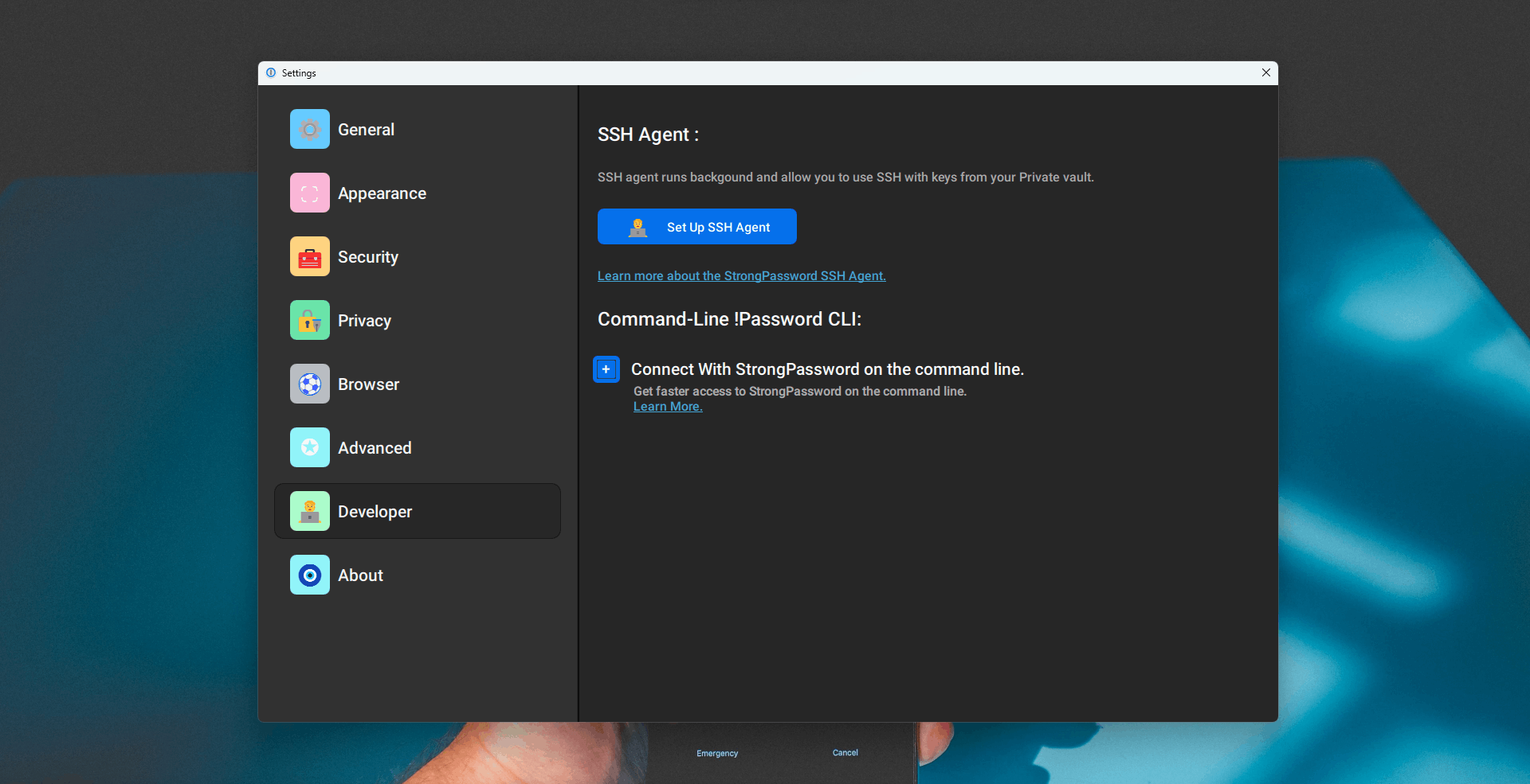Developer Settings Qt/QML interface screenshot